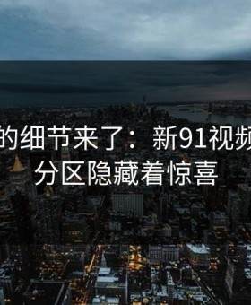 被忽略的细节来了：新91视频的冷门分区隐藏着惊喜