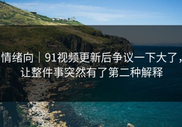 情绪向｜91视频更新后争议一下大了，让整件事突然有了第二种解释