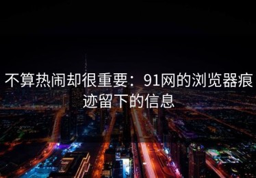 不算热闹却很重要：91网的浏览器痕迹留下的信息