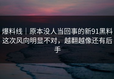 爆料线｜原本没人当回事的新91黑料这次风向明显不对，越翻越像还有后手