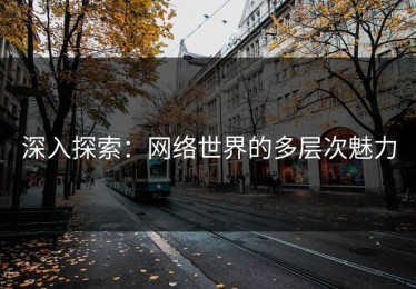深入探索：网络世界的多层次魅力