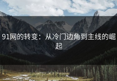 91网的转变：从冷门边角到主线的崛起