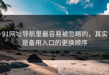 91网址导航里最容易被忽略的，其实是备用入口的更换顺序