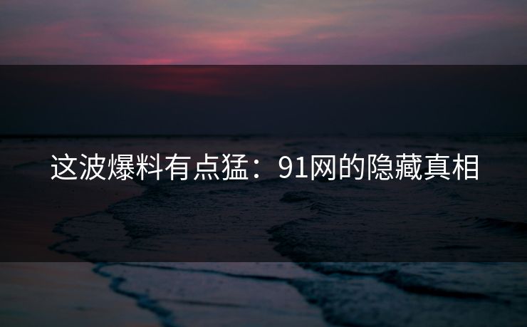 这波爆料有点猛：91网的隐藏真相