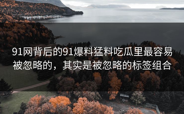 91网背后的91爆料猛料吃瓜里最容易被忽略的，其实是被忽略的标签组合