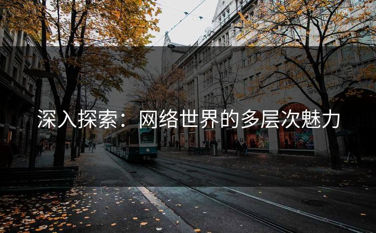 深入探索:网络世界的多层次魅力 深入探索:网络世界的多层次魅力