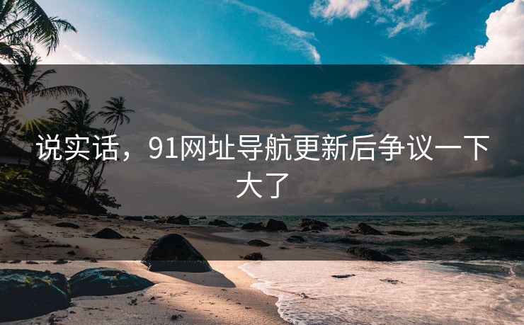 说实话，91网址导航更新后争议一下大了