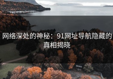 网络深处的神秘：91网址导航隐藏的真相揭晓