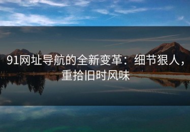 91网址导航的全新变革：细节狠人，重拾旧时风味
