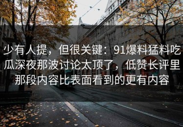 少有人提，但很关键：91爆料猛料吃瓜深夜那波讨论太顶了，低赞长评里那段内容比表面看到的更有内容