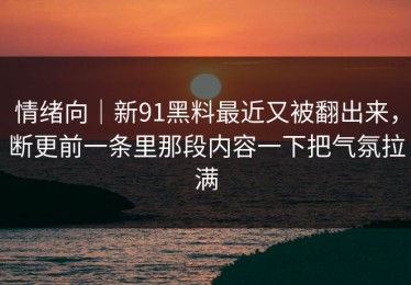 情绪向｜新91黑料最近又被翻出来，断更前一条里那段内容一下把气氛拉满
