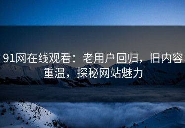 91网在线观看：老用户回归，旧内容重温，探秘网站魅力