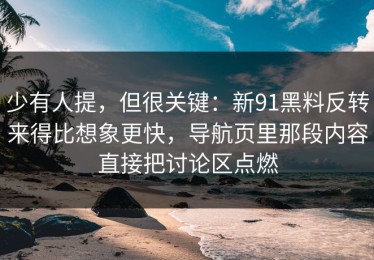 少有人提，但很关键：新91黑料反转来得比想象更快，导航页里那段内容直接把讨论区点燃