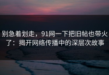 别急着划走，91网一下把旧帖也带火了：揭开网络传播中的深层次故事