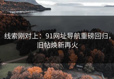 线索刚对上：91网址导航重磅回归，旧帖焕新再火