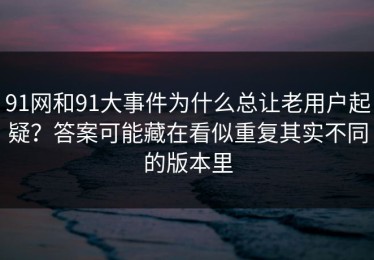 91网和91大事件为什么总让老用户起疑？答案可能藏在看似重复其实不同的版本里