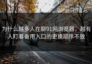 为什么越多人在聊91网浏览器，越有人盯着备用入口的更换顺序不放