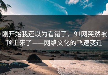 刚开始我还以为看错了，91网突然被顶上来了——网络文化的飞速变迁