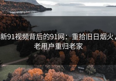 新91视频背后的91网：重拾旧日烟火，老用户重归老家