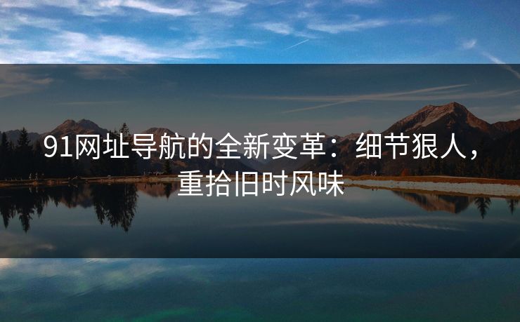 91网址导航的全新变革：细节狠人，重拾旧时风味